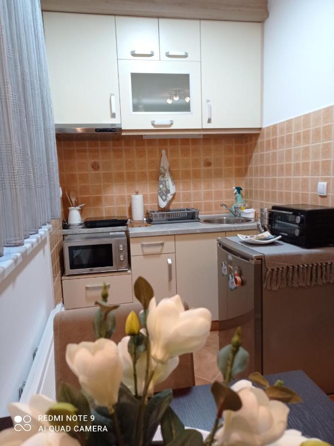 Apartman Harmonija Vrnjacka Banja Luaran gambar