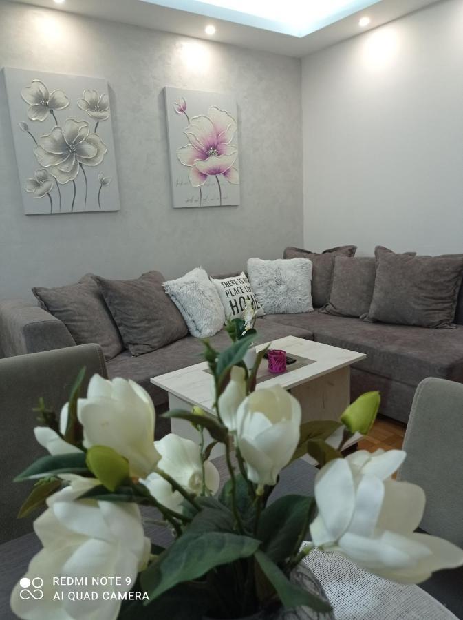 Apartman Harmonija Vrnjacka Banja Luaran gambar