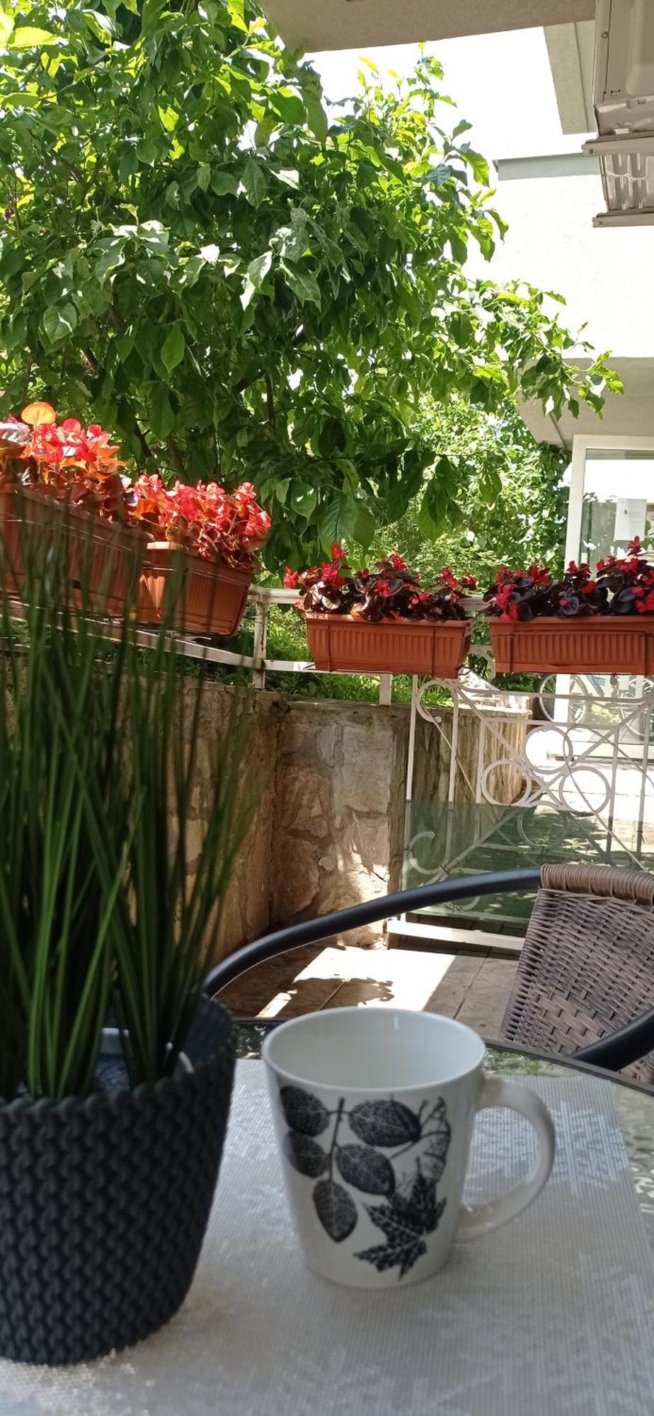 Apartman Harmonija Vrnjacka Banja Luaran gambar